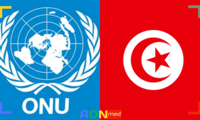 REPRESSION EN TUNISIE : L’EXEMPLE ALGÉRIEN ?