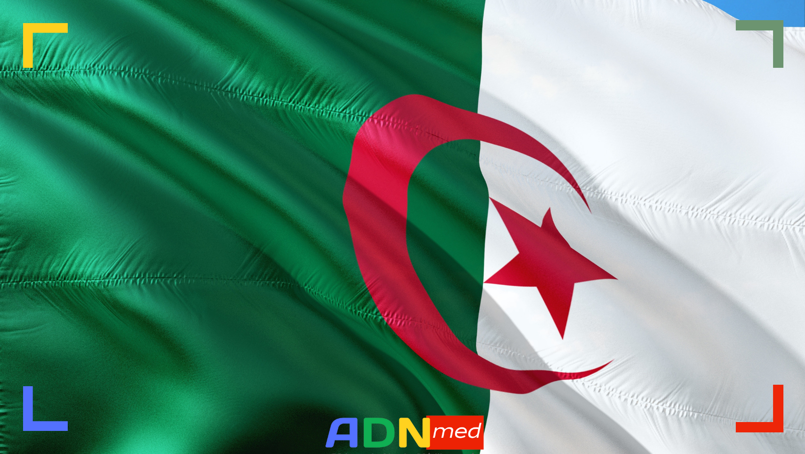 Diaspora algérienne. Un enjeu décisif pour le pouvoir