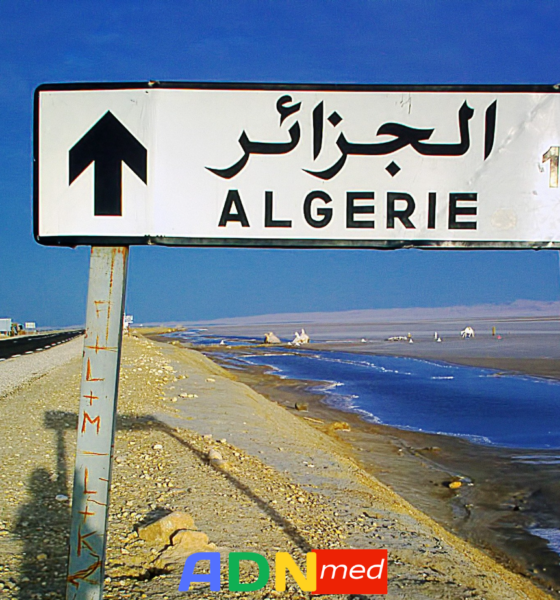 Algérie. Projet de loi sur l’information : ambiguïtés et confusions