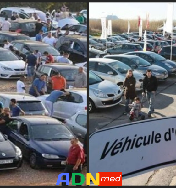 Algérie : marché de voiture d’occasion en Algérie
