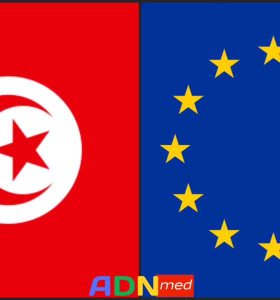 Tunisie : le parlement européen adopte une motion contre les libertés d’expression et d’association
