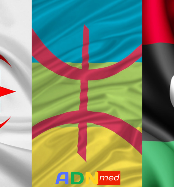 Pressions algériennes sur la Libye à propos de la question amazigh ?