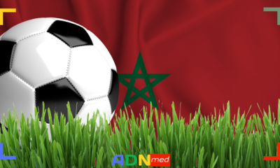 Maroc. Le Lionceaux participeront à la CAN U17 organisée en Algérie