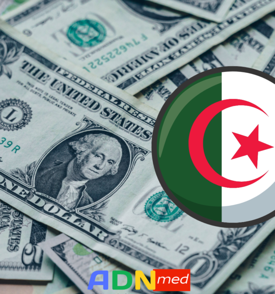 Algérie : les réserves de change atteignent les 66 millards de dollars