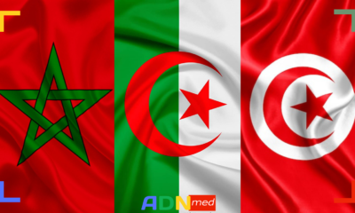 PIB des pays d’Afrique du nord. Le Maroc résiste mieux