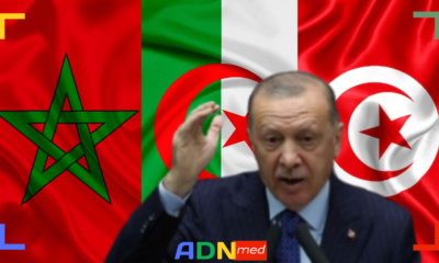 EDITORIAL. Réélection d’Erdogan : conséquences pour la Turquie et impact sur l’Afrique du nord.