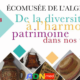 L’Écomusée d’Algérie expose les facettes du patrimoine culturel nationale à Québec